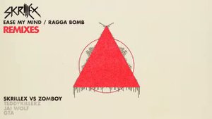 Skrillex-raga bomb(feat.raga twins ) (Skrillex remix)