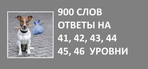 Словесная игра 900 слов ответы 41, 42, 43, 44, 45, 46 уровни