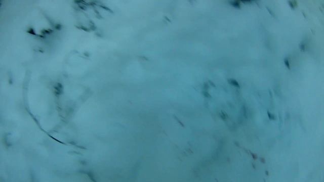 САМОДЕЛЬНАЯ ВАБА НА ВОЛКА С ОХОТОЙ. 180 смотреть онлайн