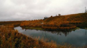 Охота с Русским Охотничьим Спаниелем. Осенние зарисовки.