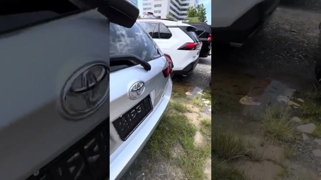 Toyota Corolla Fielder G 2019 в продаже @CAR_UNICH #владивосток #зеленыйугол #автоизяпонии