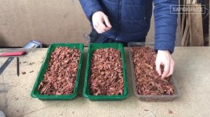 Кора лиственницы 1-3 см "Премиум" – Обзор качества