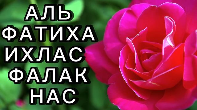 Суры Аль Фатиха,Ихлас,фалак,нас
