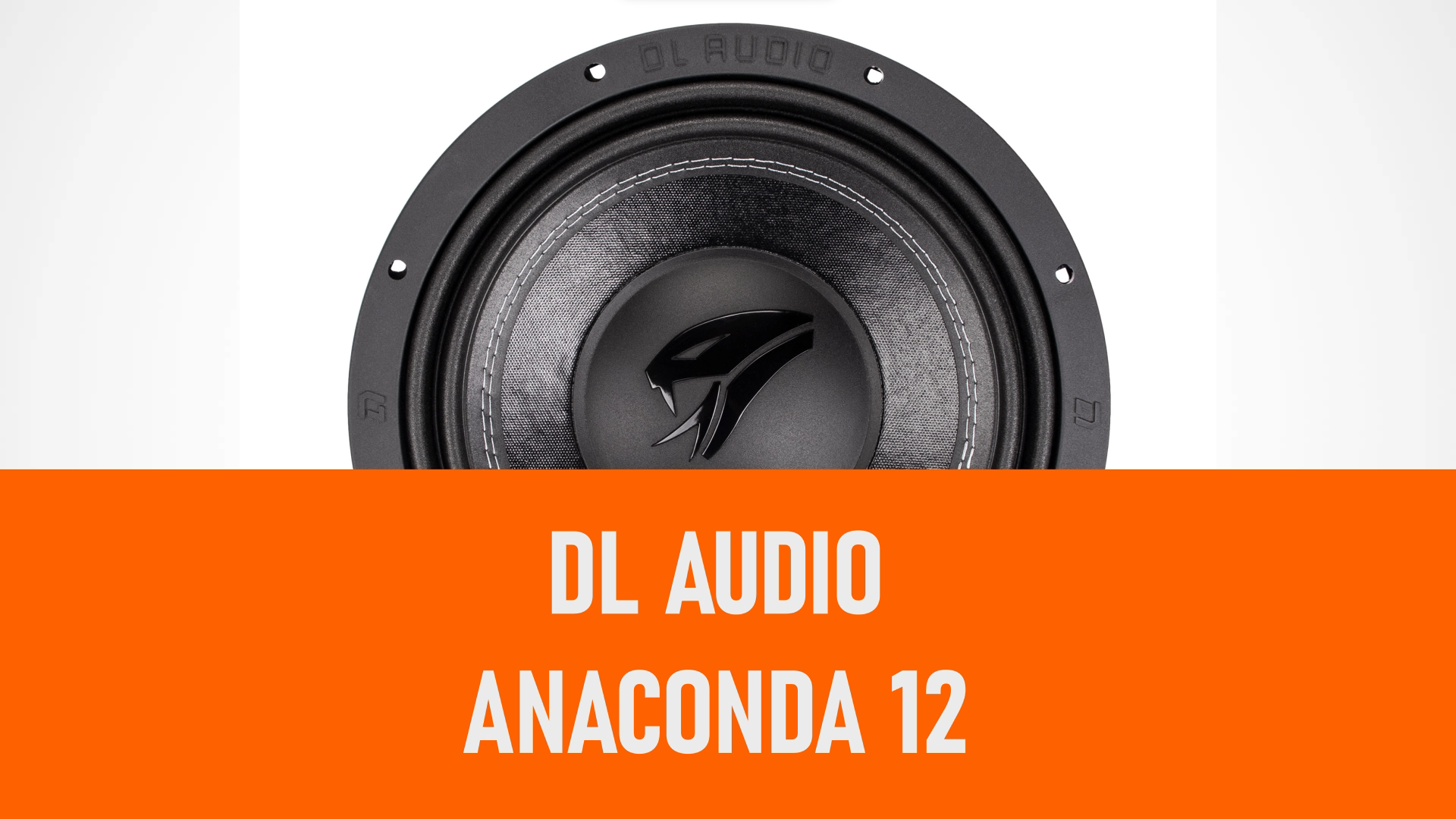 Распаковка сабвуфера DL Audio Anaconda 12