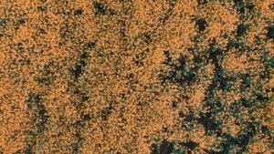 Поговори со мной... Вера Полозкова