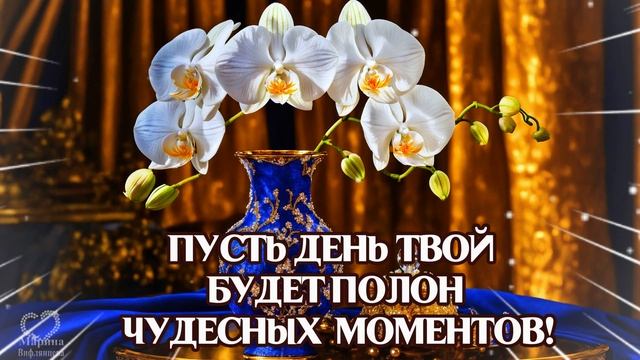 ПРЕКРАСНОЙ ЖЕНЩИНЕ
