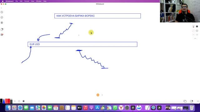 Как устроена биржа Форекс. Лучший курс трейдинга для начинающих