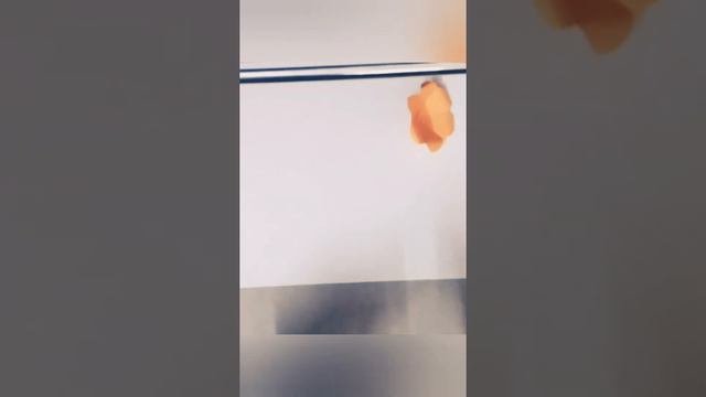 how to make a hibiscus flower। смотреть онлайн