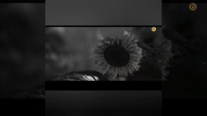 Однажды разрушение вошло в дверь моего дома #трейлер