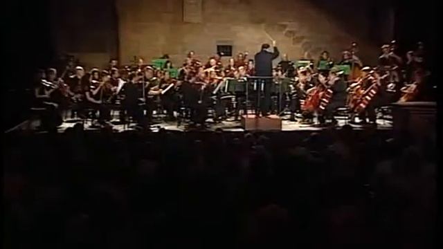 34 P.I. Tchaikovsky - Concerto in RE magg. per violino e orchestra
