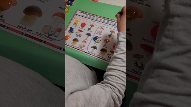 Нейромоторные игры: находилки-обводилки: грибы. смотреть онлайн