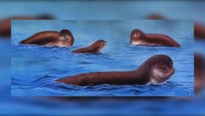 10 Животных Вымерших По Вине людей