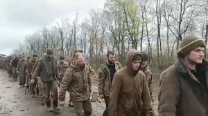 Видео отправки пленных ВСУшников по обмену.