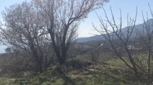 Крым / Ялта / Гурзуф / Краснокаменка / обзор и описание посёлка