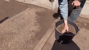 Посадка газонной травы  и полив своими руками