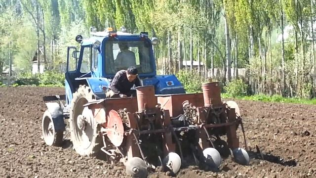 Как сажают картошку в Кыргызских селах смотреть онлайн