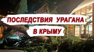 ПОСЛЕДСТВИЯ УРАГАНА В КРЫМУ (2023 НОЯБРЬ)