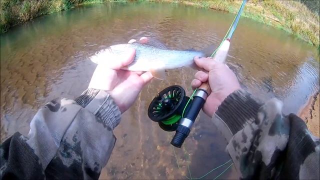 Забрались в самую глушь. Рыбалка в Псковской области. смотреть онлайн