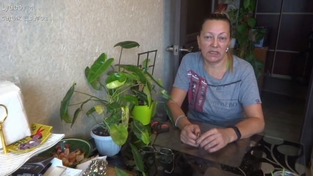 Болталка/Цветочные будни/Новинки/Флорариум/Раскопки/ смотреть онлайн