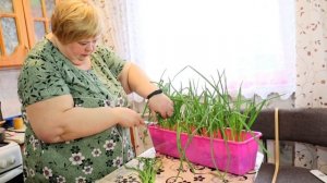 Нежный гуляш из индейки/Чебуреки  с зеленым луком/