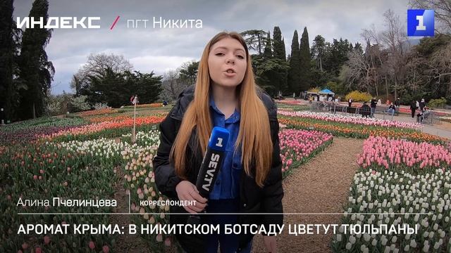 Аромат Крыма: в Никитском ботсаду цветут тюльпаны
