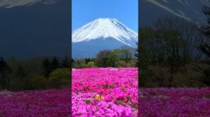 Mount Fuji, Japan ?? ?Гора Фудзияма, Япония #shorts