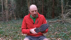 Keen Targhee III v Salomon X Ultra 3 Review