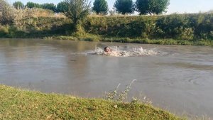 Акдарьинский район. Канал Шахоб. Самарканд