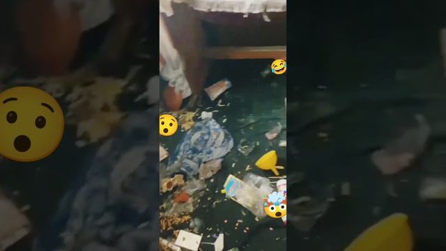 Эксклюзивная подборка собачьего трЫндеца!??? смотреть онлайн