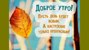 Доброго осеннего утра?