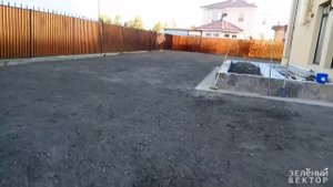 Расчистили, выровняли, посеяли газонную траву l Зелёный Вектор
