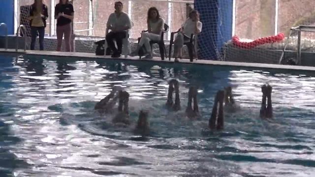 MAH05645 смотреть онлайн