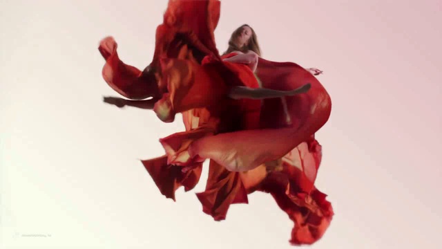 Dynamic Blooms_(new)