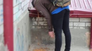 666 блюет