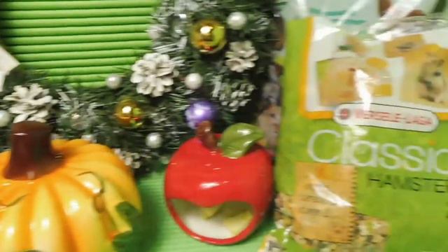 ПОДАРКИ НЮШЕ НА ДР И НОВЫЙ 2020 ГОД #ДОМТЫКВАКЕРАМИКА#ТАРТАЛЕТКИГРЫЗУНАМ#КОРМЛЕНИЕХОМЯКА#ХОМЯК