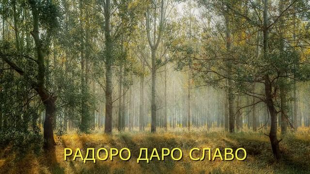 Славяно-арийская мантра на связь с РОДОМ. РАДОРО ДАРО СЛАВО