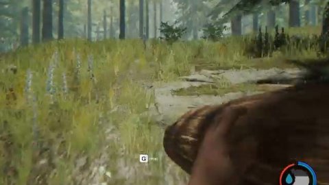 The Forest Gameplay on geforce GT610