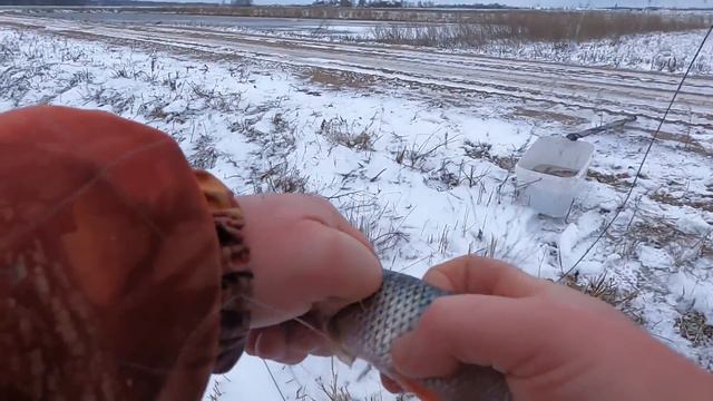 ЗИМНЯЯ РЫБАЛКА на экраны. Ловим с берега. смотреть онлайн