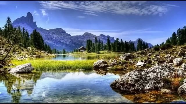 Свекровь подложила фото невестки в гроб к сыну, но оказалось... смотреть онлайн