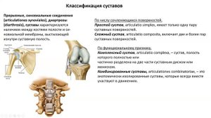 Общая артрология