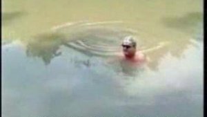 Ловят сомов руками