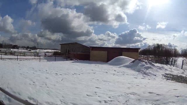 ВЛОГ: Ранчо Авенсис/Контактный зоопарк и прогулка на лошадях/Что могло пойти не так? смотреть онлайн