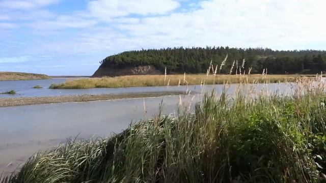 АЛЕЙСК\СИБИРЬ\ГОРОДА РОССИИ\ТУРИЗМ\ПУТЕШЕСТВИЯ