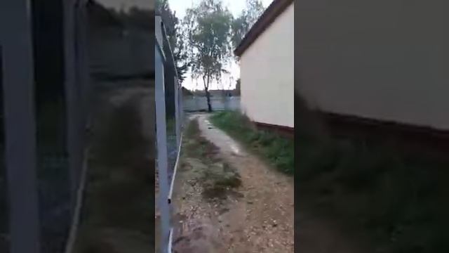 мастеровит в работе. 1 смотреть онлайн