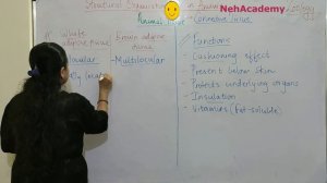 ANIMAL TISSUE-CONNECTIVE TISSUE-1 | CLASS 11TH BIOLOGY | NEET-2021 | NEET-UG | Dr.NEHA