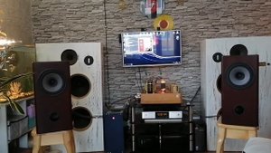 ШП SEAS H1597-08 FA22RCZ с ламповым усилителем SE