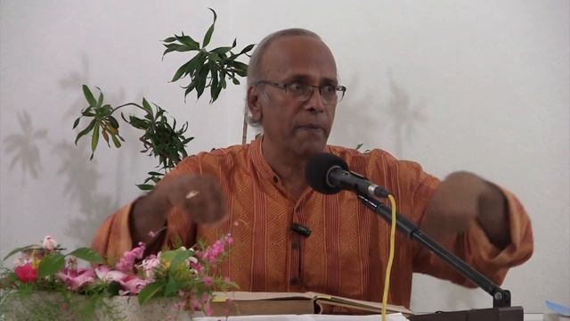 Reflections on "The Mother (Chapter 6)" - by Dr Ananda Reddy - Talk 23 (Part 1) смотреть онлайн