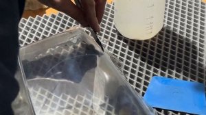 Бронирование стекла фары Skoda Octavia A7 2013 AFS защитной антигравийной пленкой