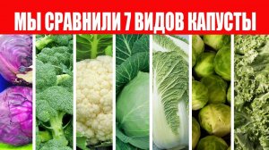 Капуста. Мы сравнили 7 видов, чтобы найти самую полезную