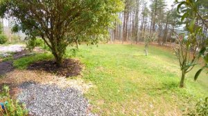 Phlox Planting and Stone Retaining Wall for Gravel Path - Yard Update March 2021